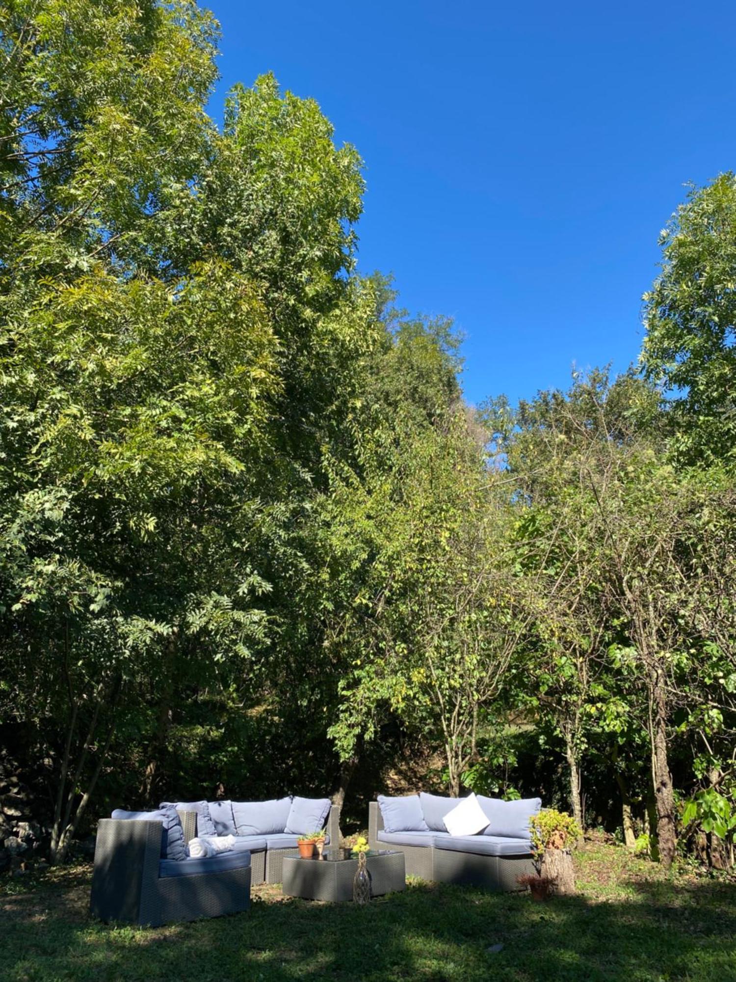 莱斯普莱西斯Casa De Camp Les Tretes别墅 外观 照片